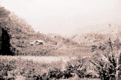 Una vista de la colonia alemana del Pozuzo cuyos miembros se establecieron en la zona desde 1857, alentados por la ley de inmigración dada en 1849 por el gobierno peruano.